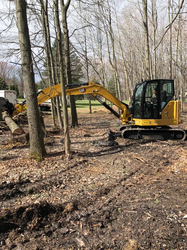 Timberline Lawn Care project photo landclearing2.jpg