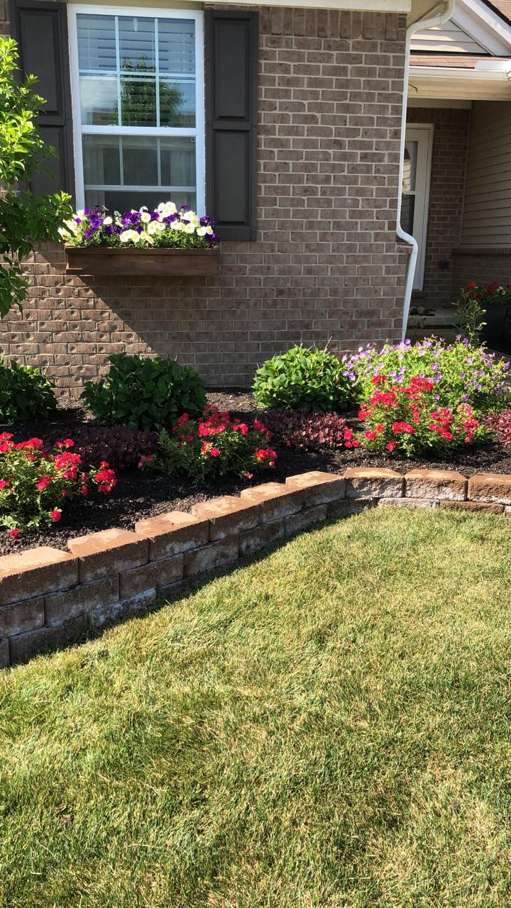 Leaf Cleanup & Seasonal Cleanups by Timberline Lawn Care