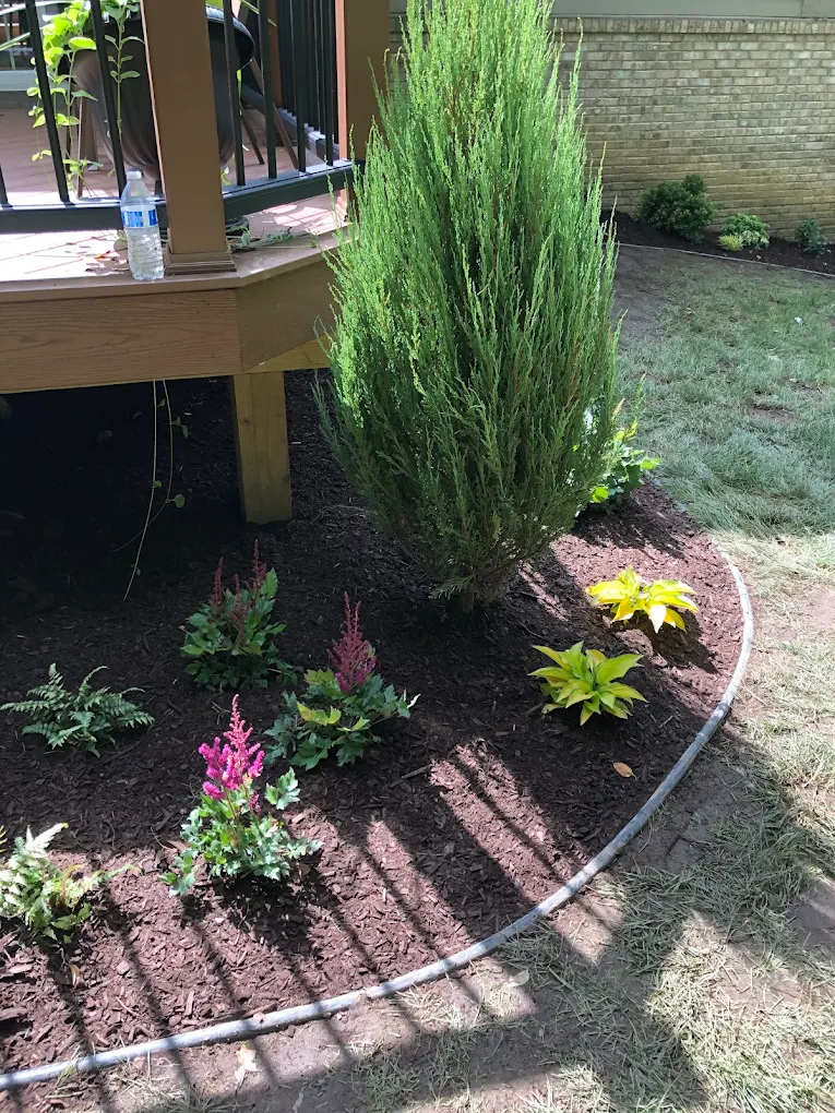 Timberline Lawn Care project photo landscapingt2.webp