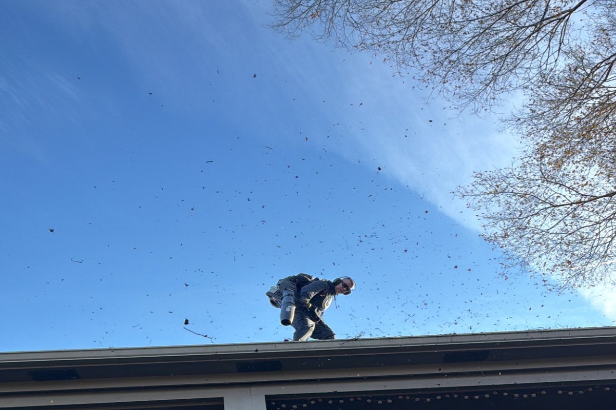 Gutter and downspout cleaning by Timberline Outdoor Services