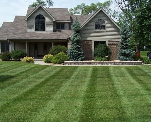 Beautiful striped lawn maintained by Timberline Outdoor Services