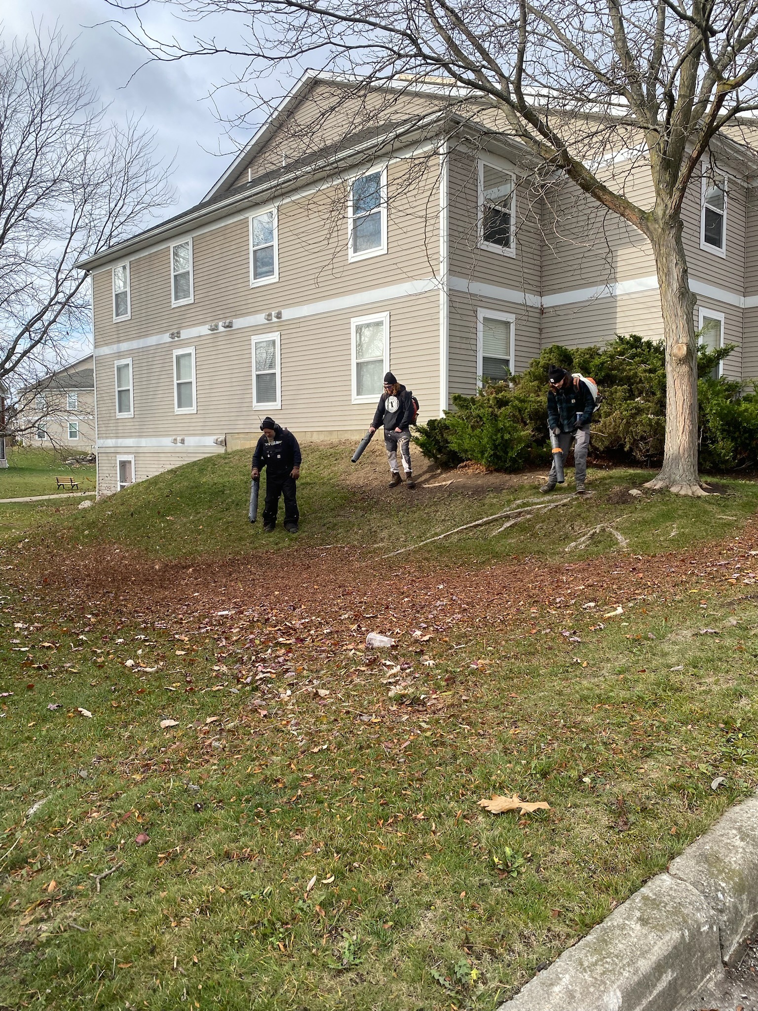 Seasonal leaf cleanup crew by Timberline Outdoor Services