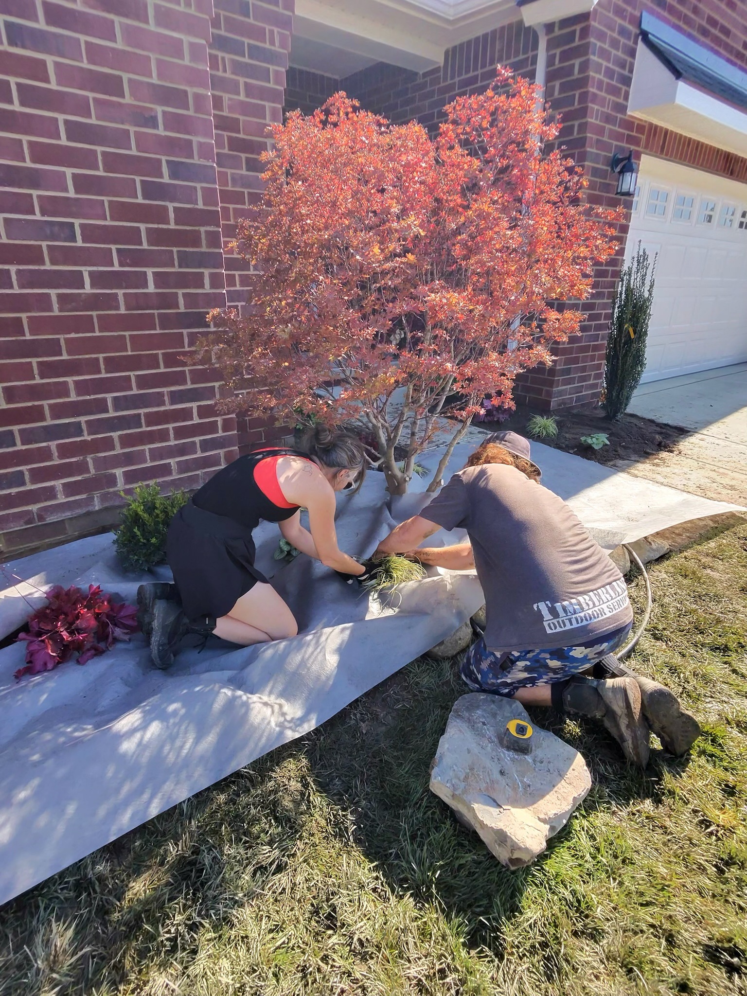 Planting installation by Timberline Outdoor Services